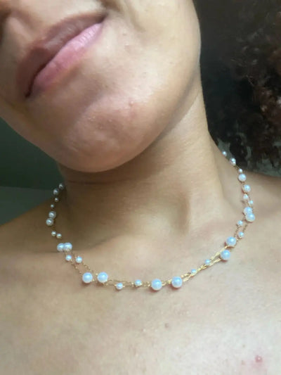 Charlotte Johnson / 13 orders