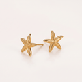 Starfish Stud Earrings - Orlumea